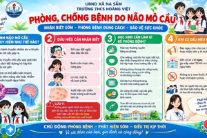 PHÒNG CHỐNG BỆNH NÃO MÔ CẦU CHO HỌC SINH